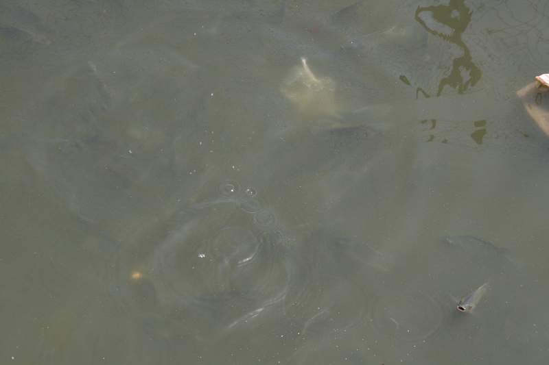 India & Nepal 2011 - 1451